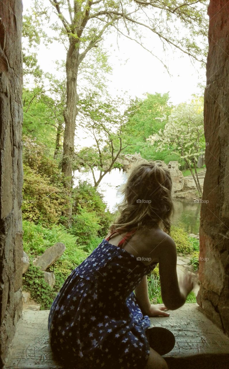 Nature, Tree, Wood, Outdoors, Summer