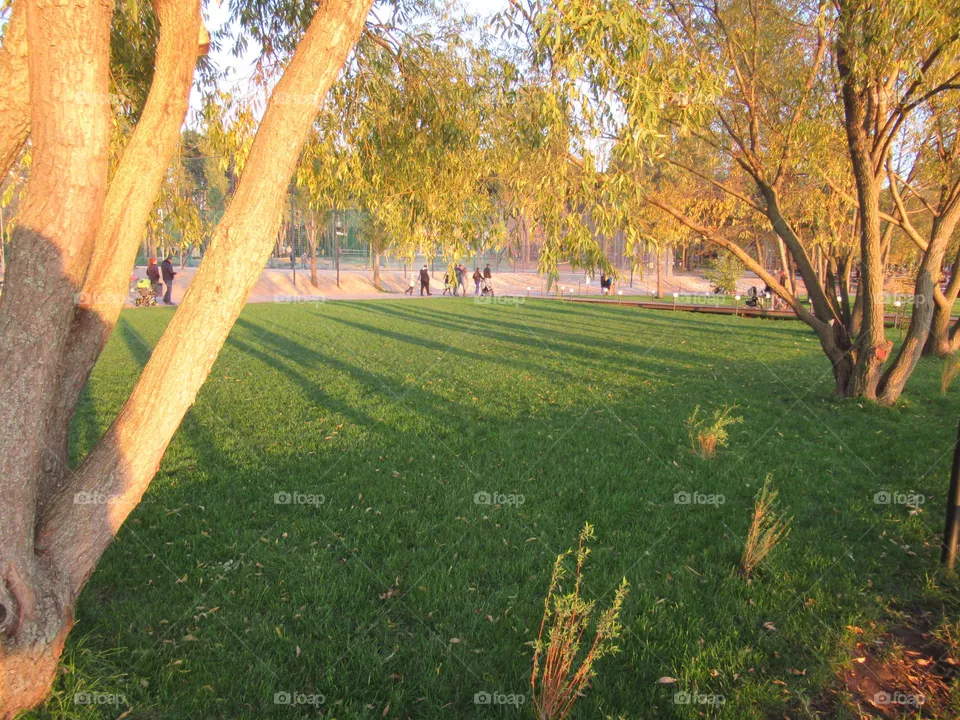 rest in the park, in the city, autumn, october