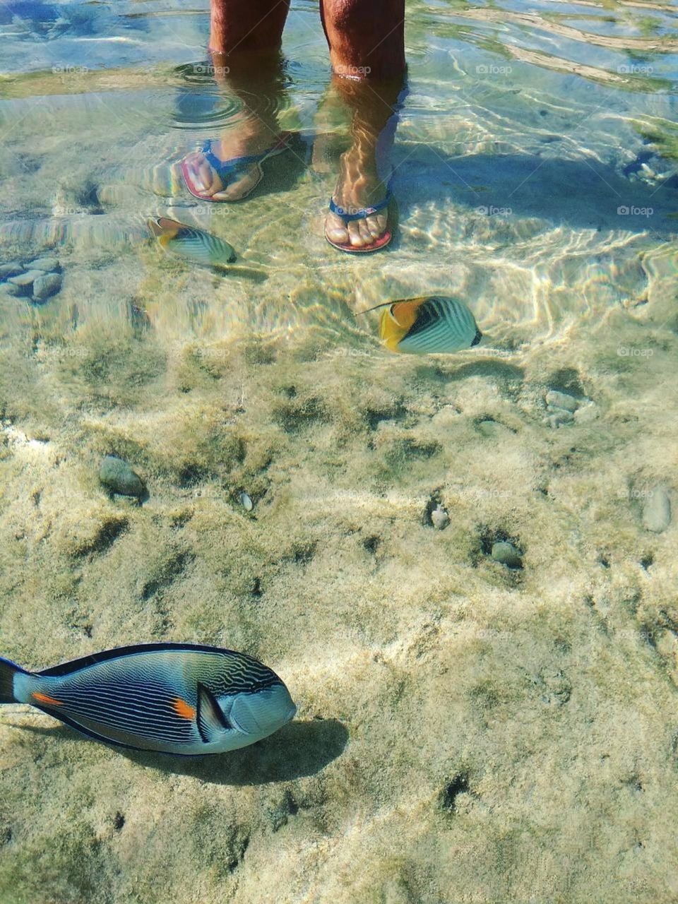 New! Photo of the month