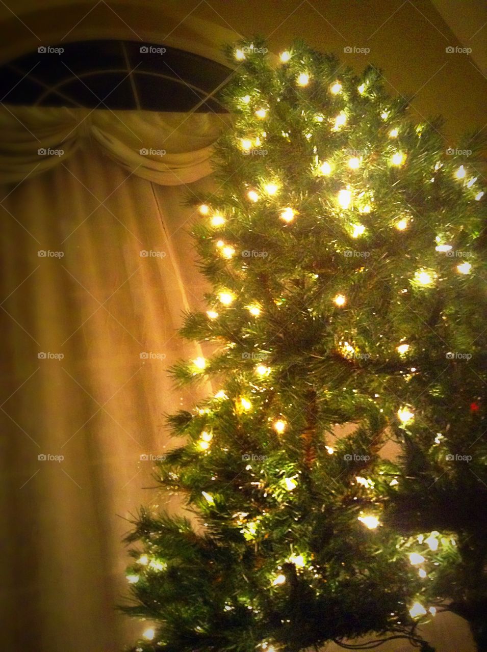 Evening Christmas Tree