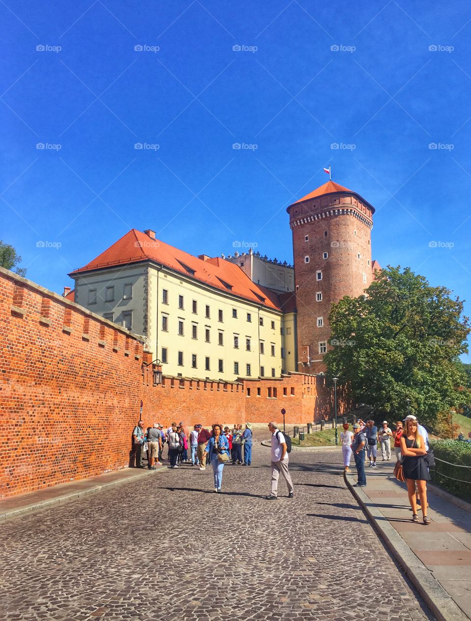 Krakow castle 