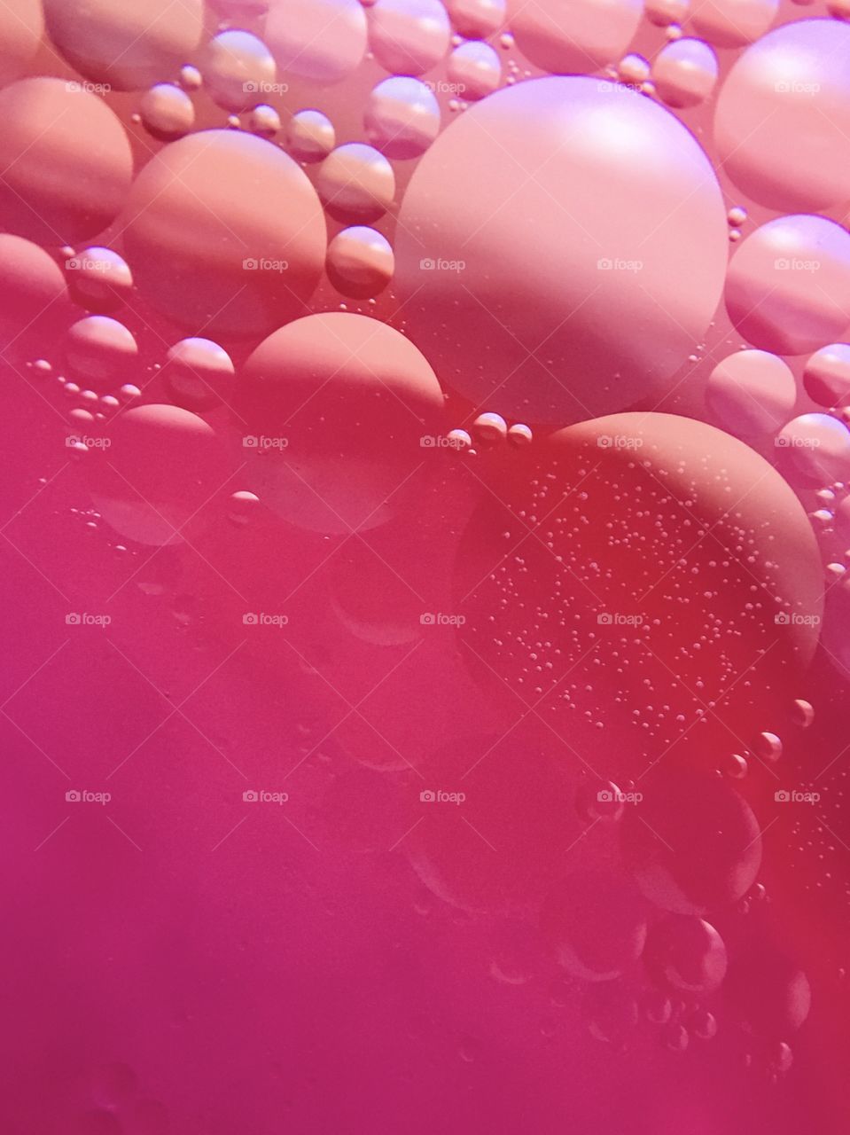 Macro oil drops on water surface, pink background