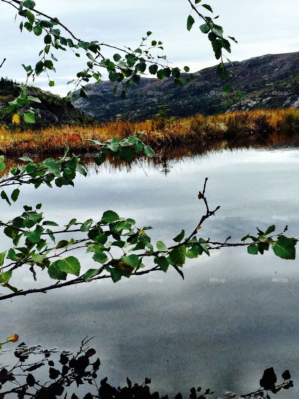 Flå, Hallingdal, Norway. Reflection in a mountain water
