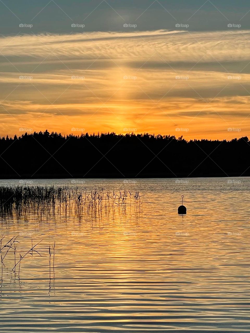 Amazing orange sunset scene over the Baltic Sea archipelago with dark treeline silhouette on the background and clouds reflection in the still mirror smooth water surface