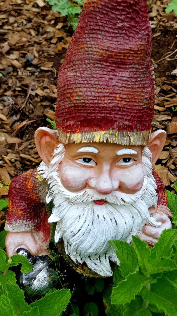 garden gnome statue