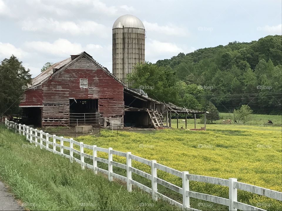 Farm in Spring 