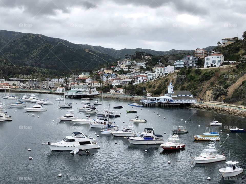 Catalina Port