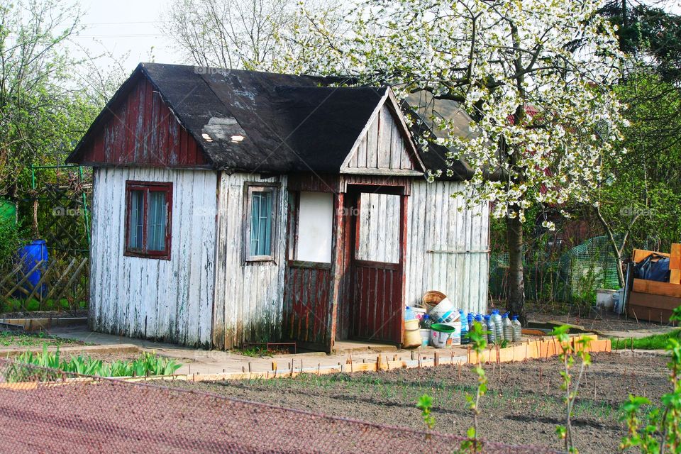 Cute little dream house!