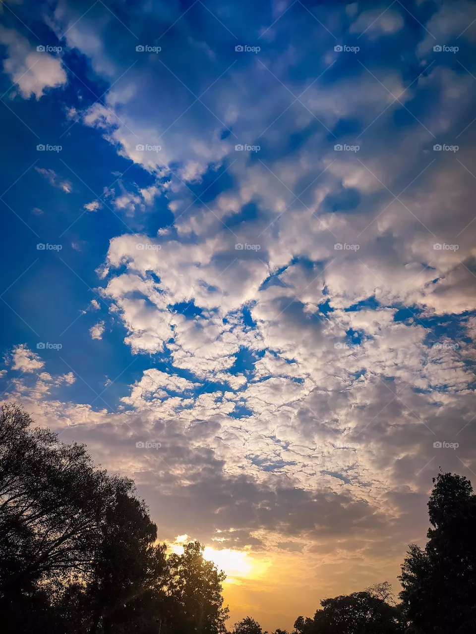 amazing sky view