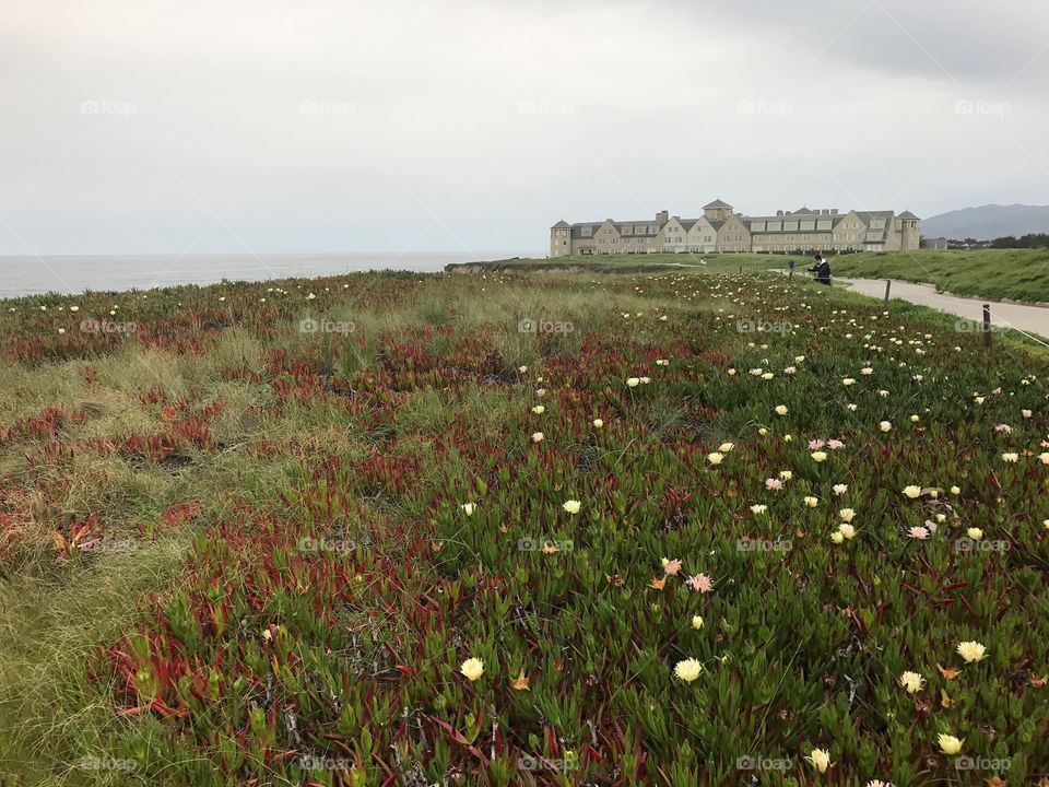 Hotel fun.  Half moon bay.