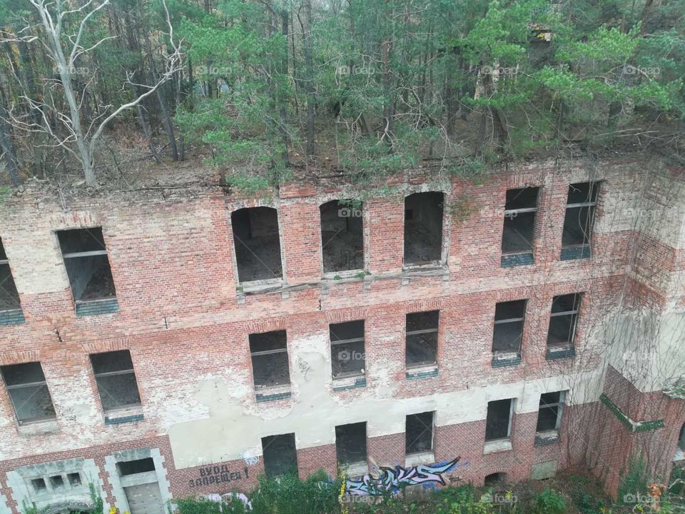 Ruine Klinik Dach Baum Wald