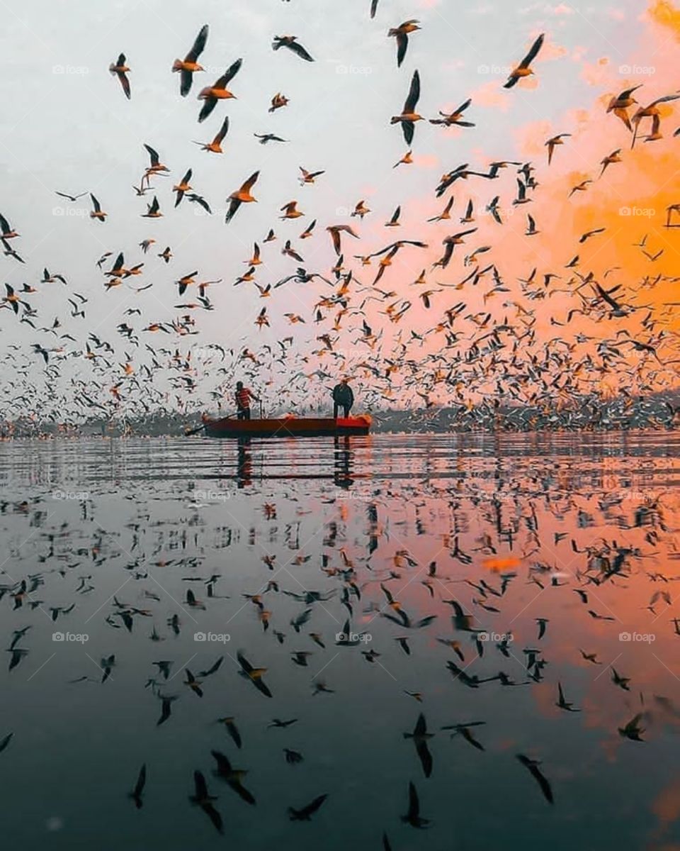 Reflection of birds in the sea with a fishing boat