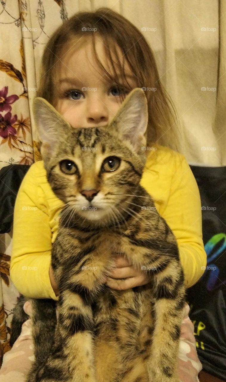 A young girl holding a tabby cat