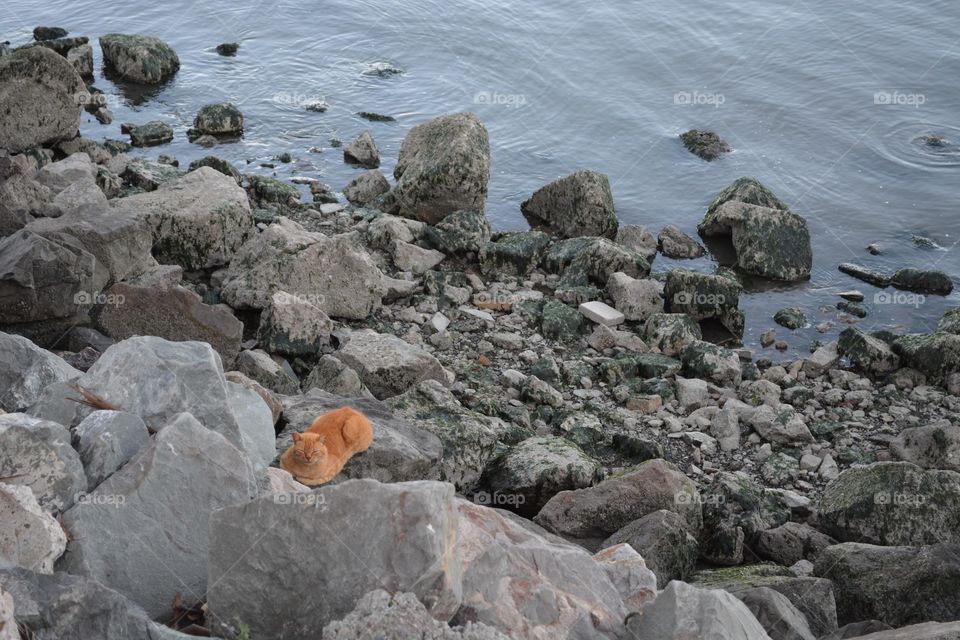Water, Rock, Seashore, Stone, No Person