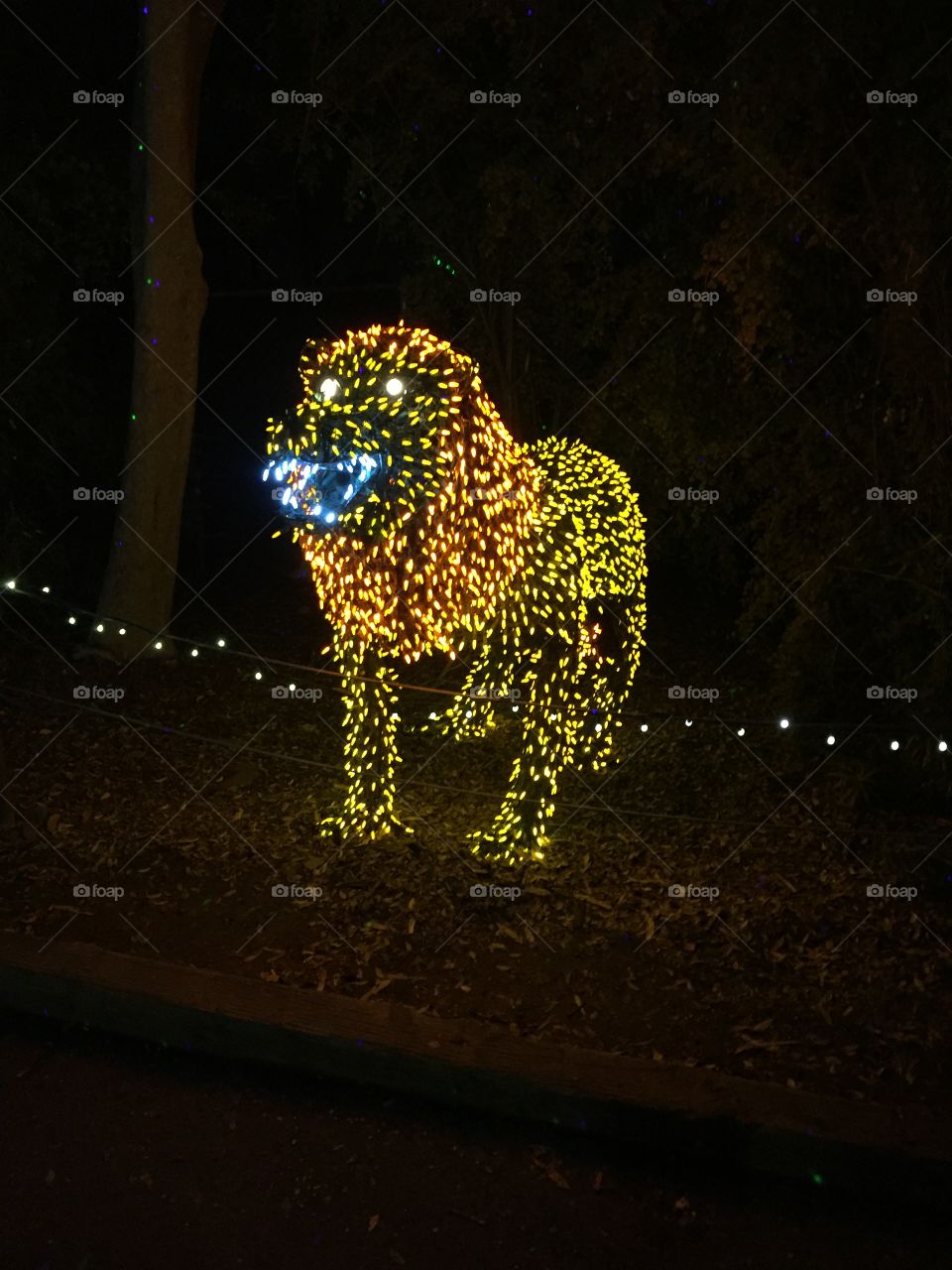 zoo light