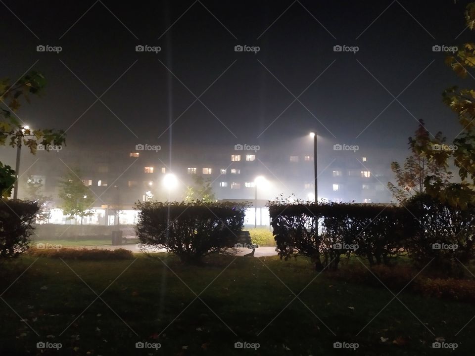 the night in the beautiful city