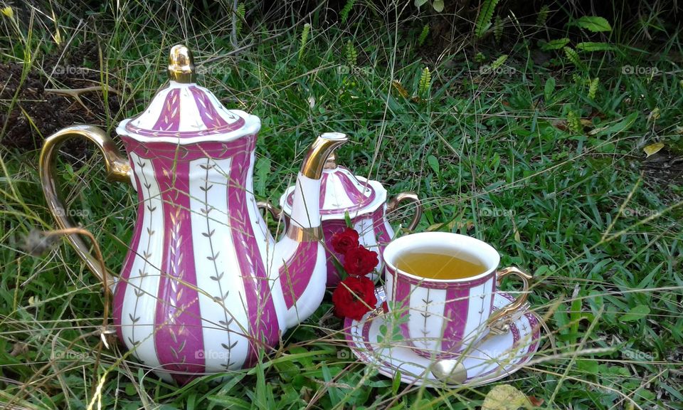 tea with fairies