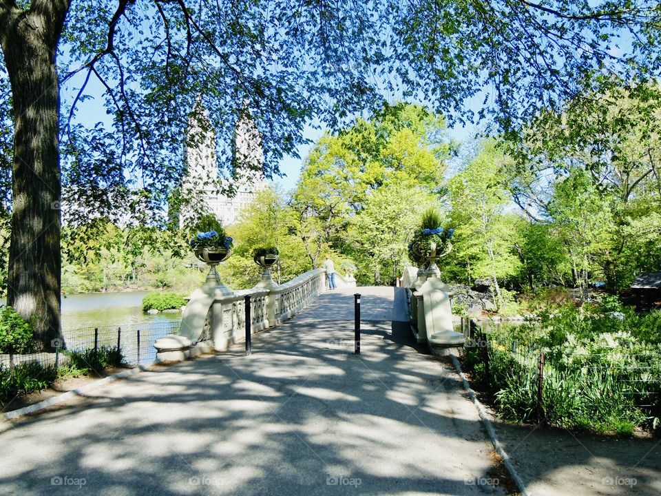 Bow Bridge Central Park under the afternoon sun enveloped in the shade of the surrounding trees. 