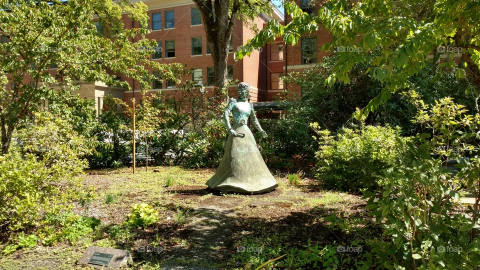 Garden, Tree, Park, No Person, Flower