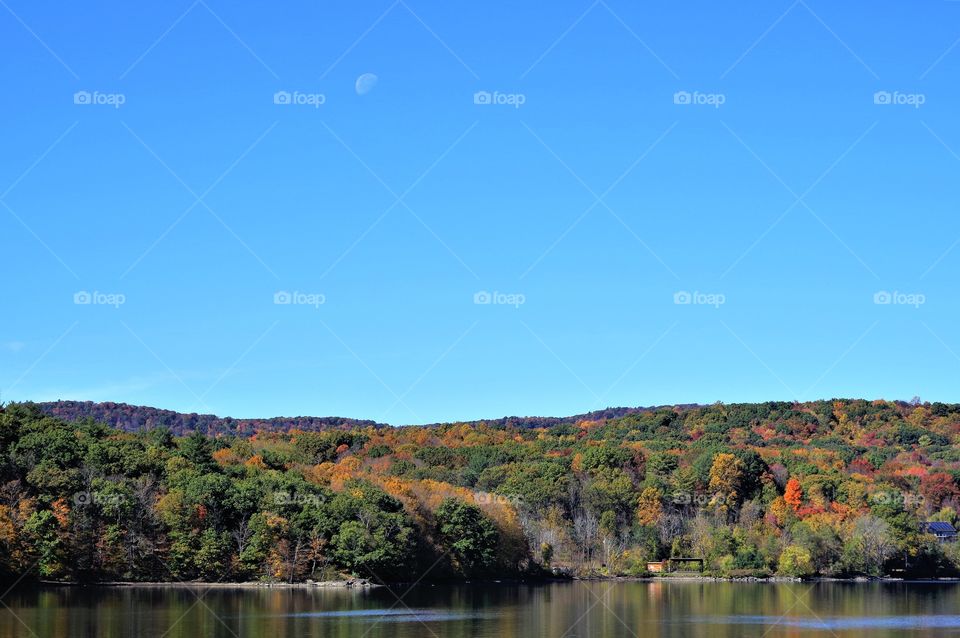 Fall Foliage Landscape with Moon