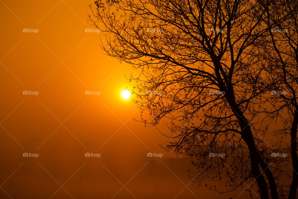 Sun is rising to bring back the spring 🌄