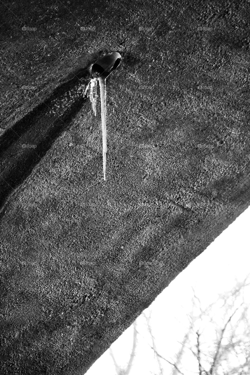 Black and white photo of a large icicle hanging from a pipe under the ceiling of a concrete bridge 