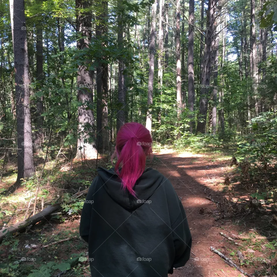Trees