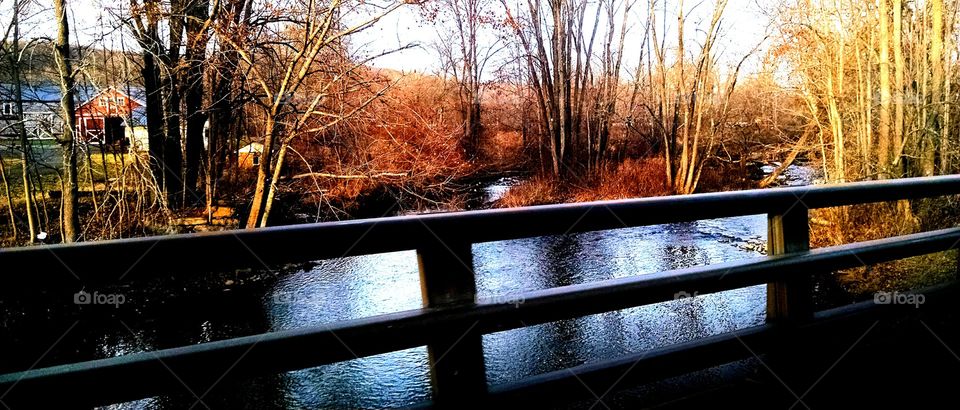 November walk. I took this pic in New Jersey in mid November on a walk