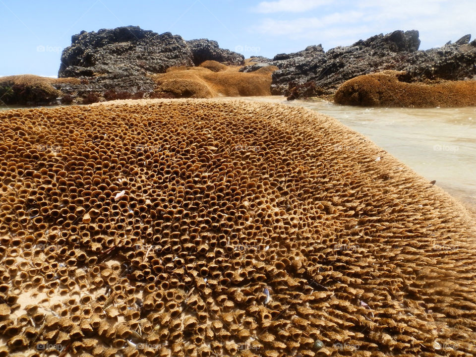 Beach rock formations