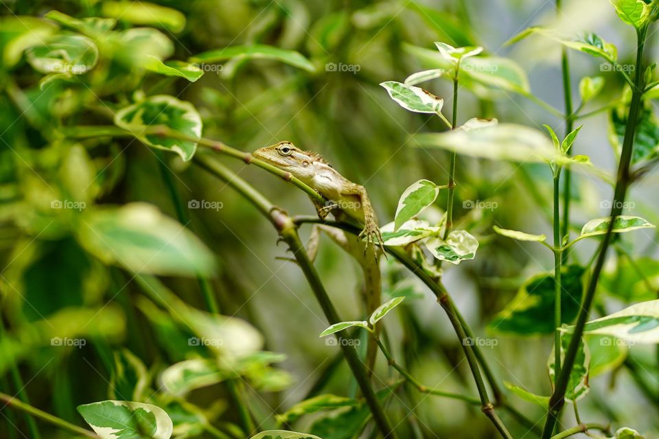 Editor’s choice. Photo of the week 