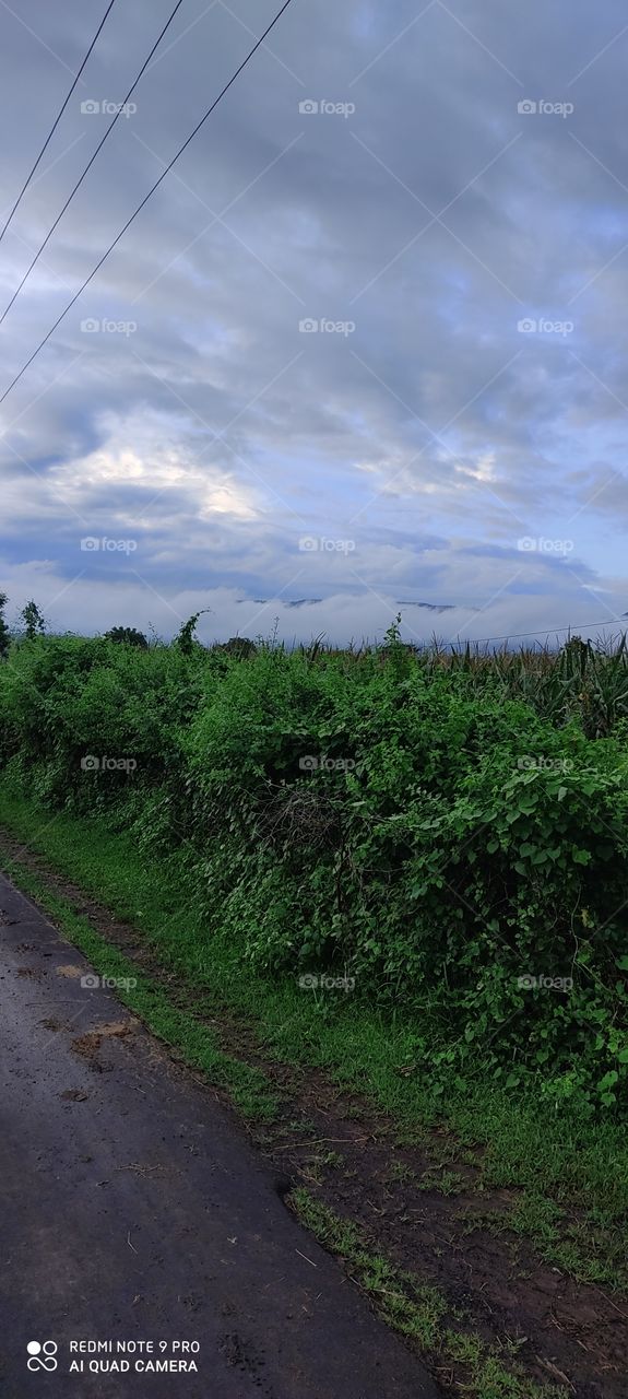 The weather on a rainy day looks very beautiful.
Man seems to have come to heaven on earth.
Looking at the clouds on the mountains, it seems that in these plaintiffs search forever