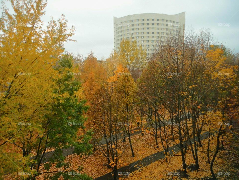 fall street view