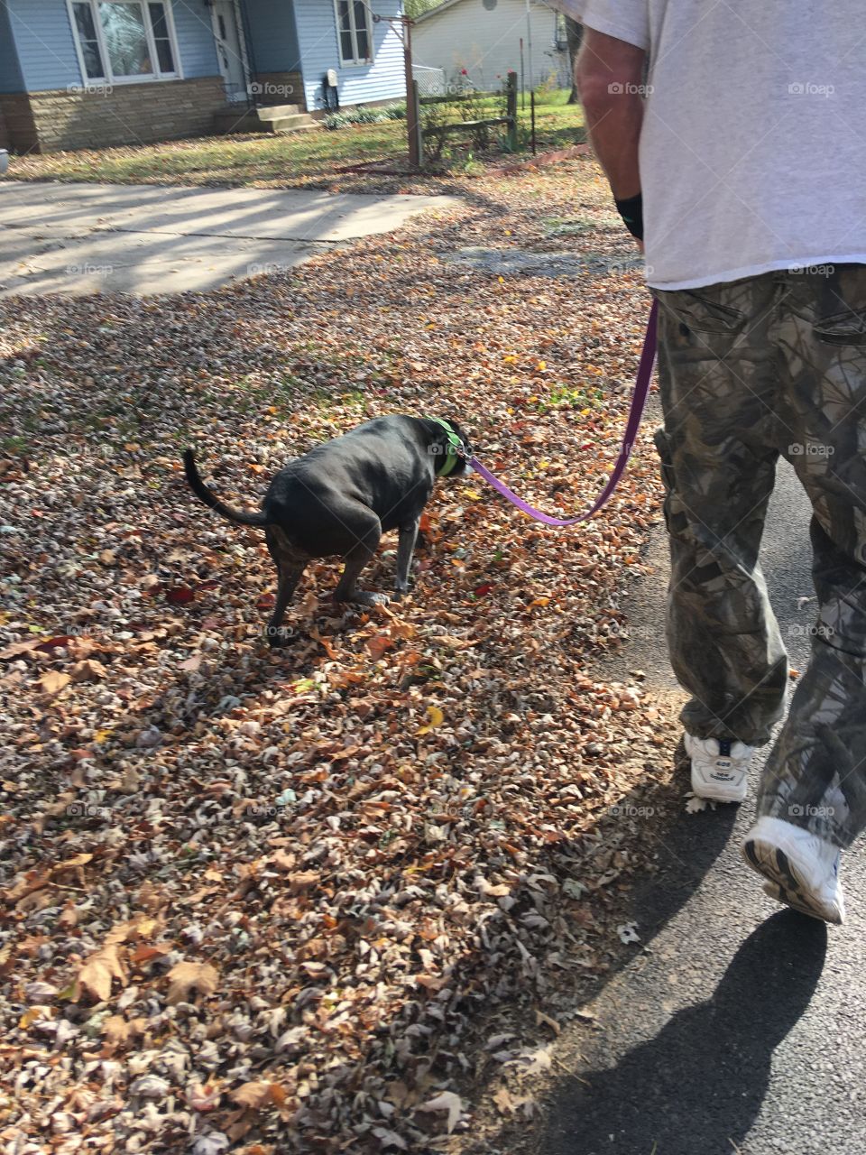 Feeling pretty good today so I get to go on a much needed and we’ll deserved walk!