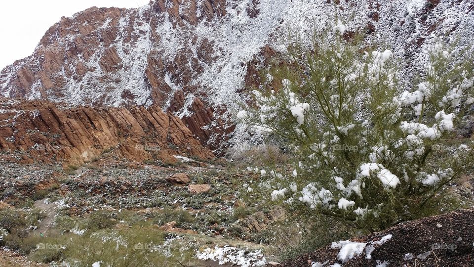 Arizona Snow 2015. Arizona Roadtrip