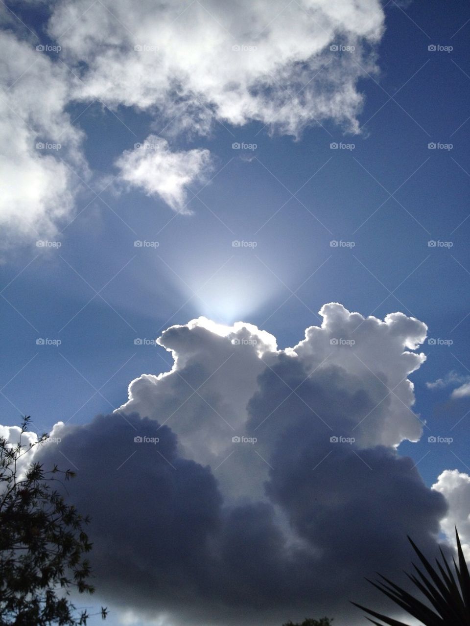 Cirrus Cumulus