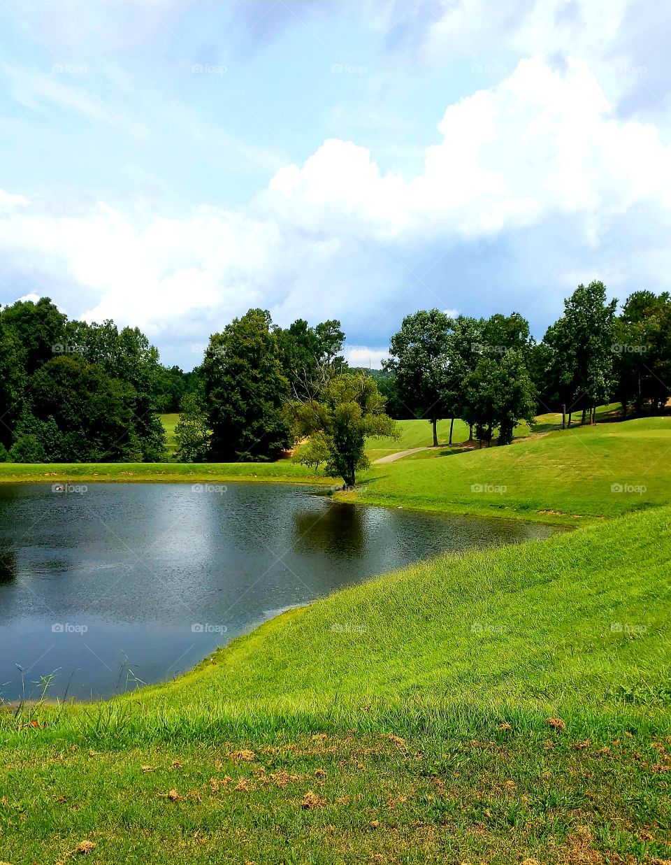 Georgia Golf Course