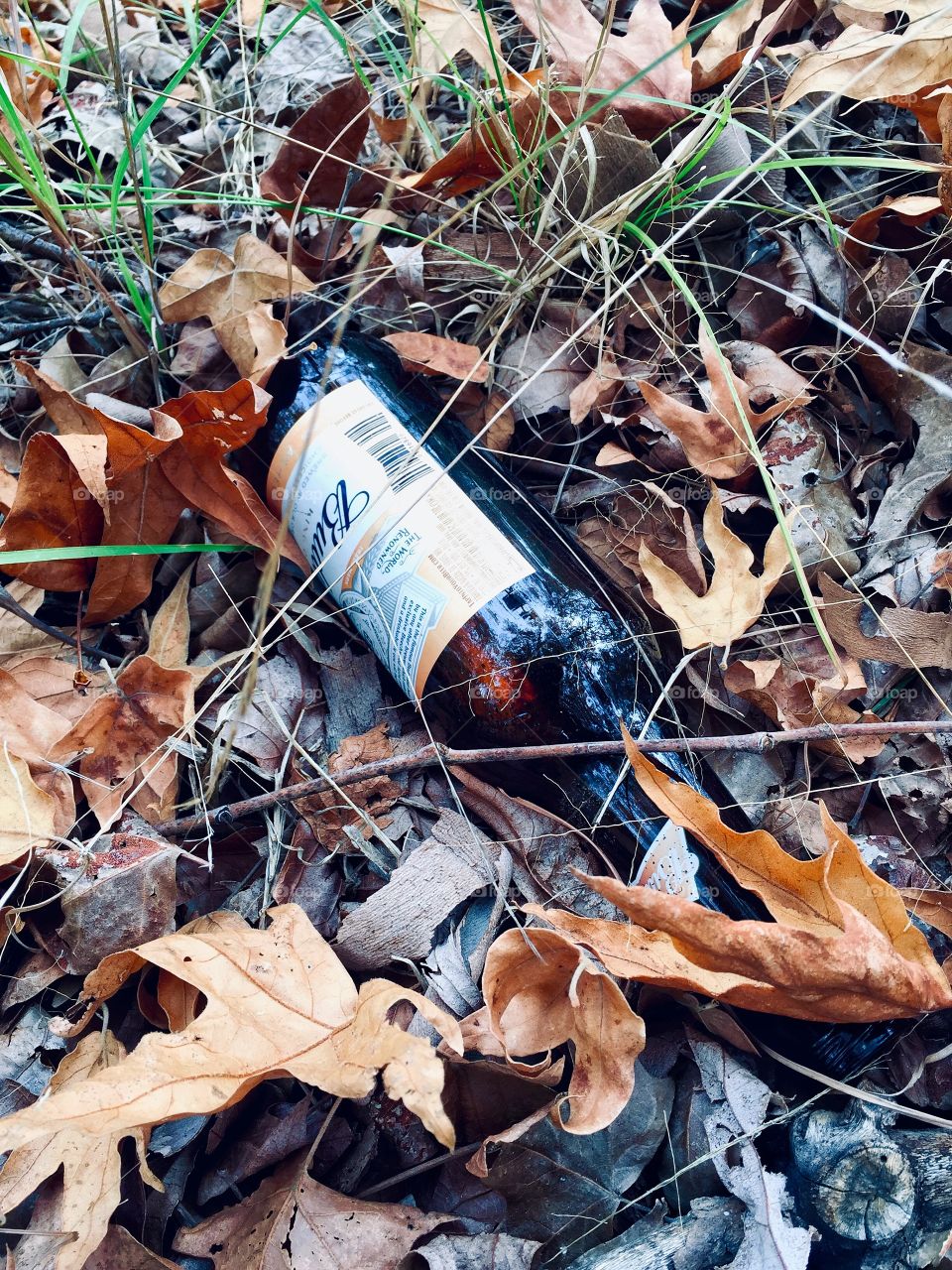Littered Budweiser