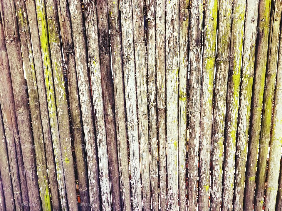 wall made from bamboos