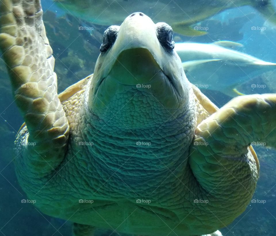 💥👻posing in style👻💥