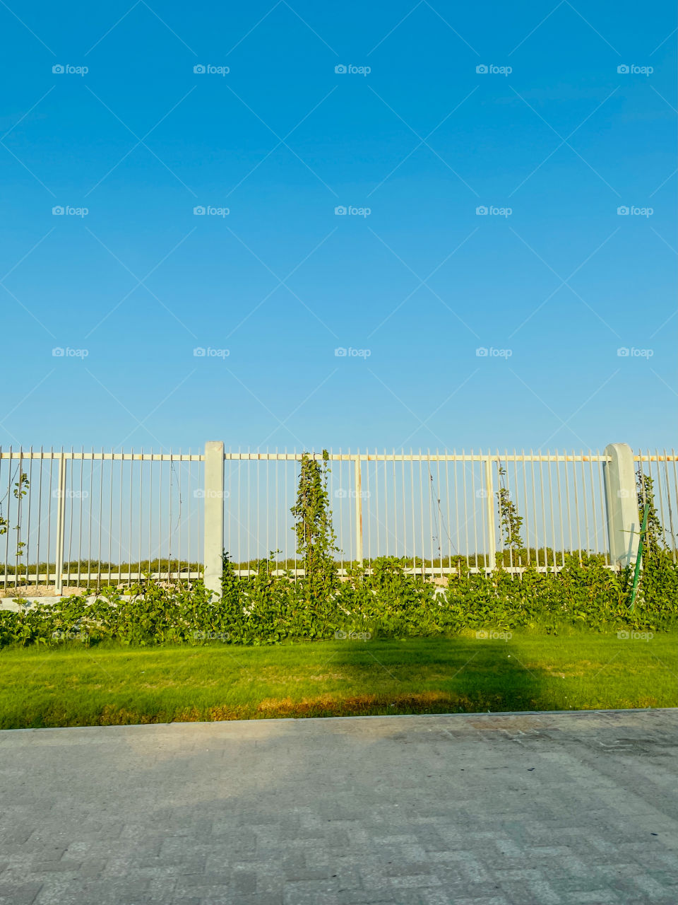 Fence and grass with bright blue background 