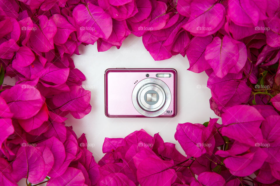 Favourite gadgets pink camera on white background surrounded by pink flowers... perfect for the girly look!