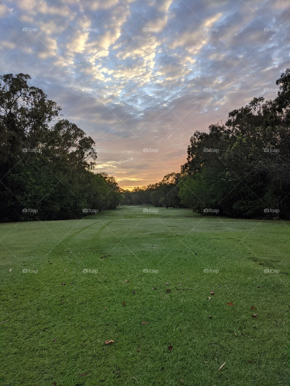 Tropical Golf Course