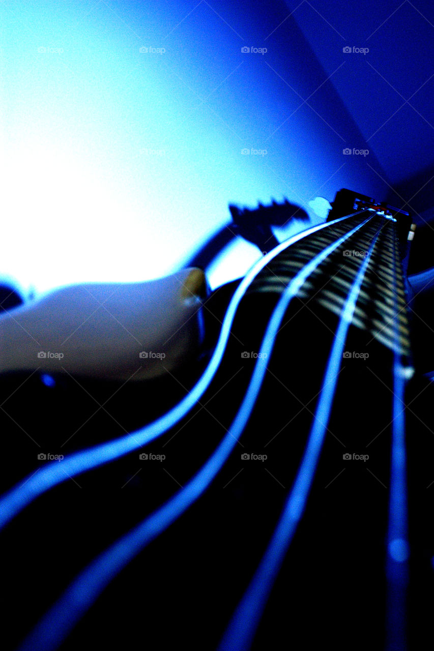 The persistence of sound. Artistic framing of a bass immersed in a blue light.