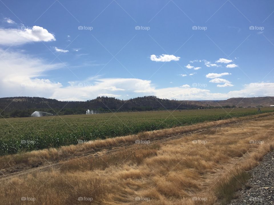 No Person, Landscape, Agriculture, Sky, Nature