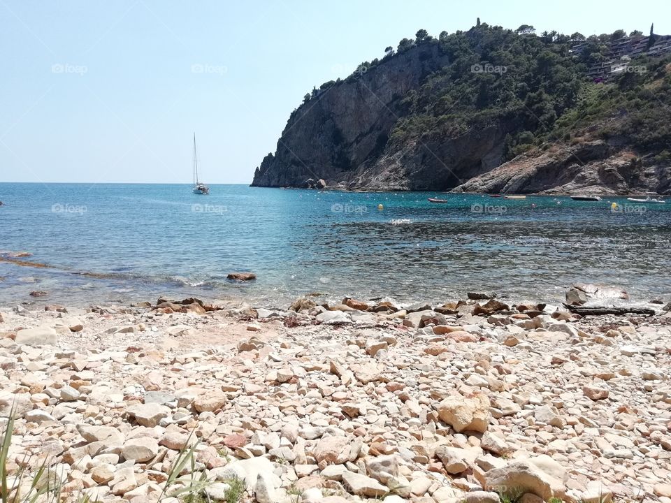 Cala