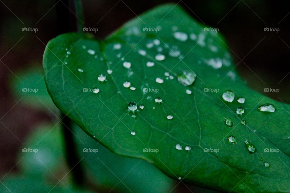 Droplets after the storm