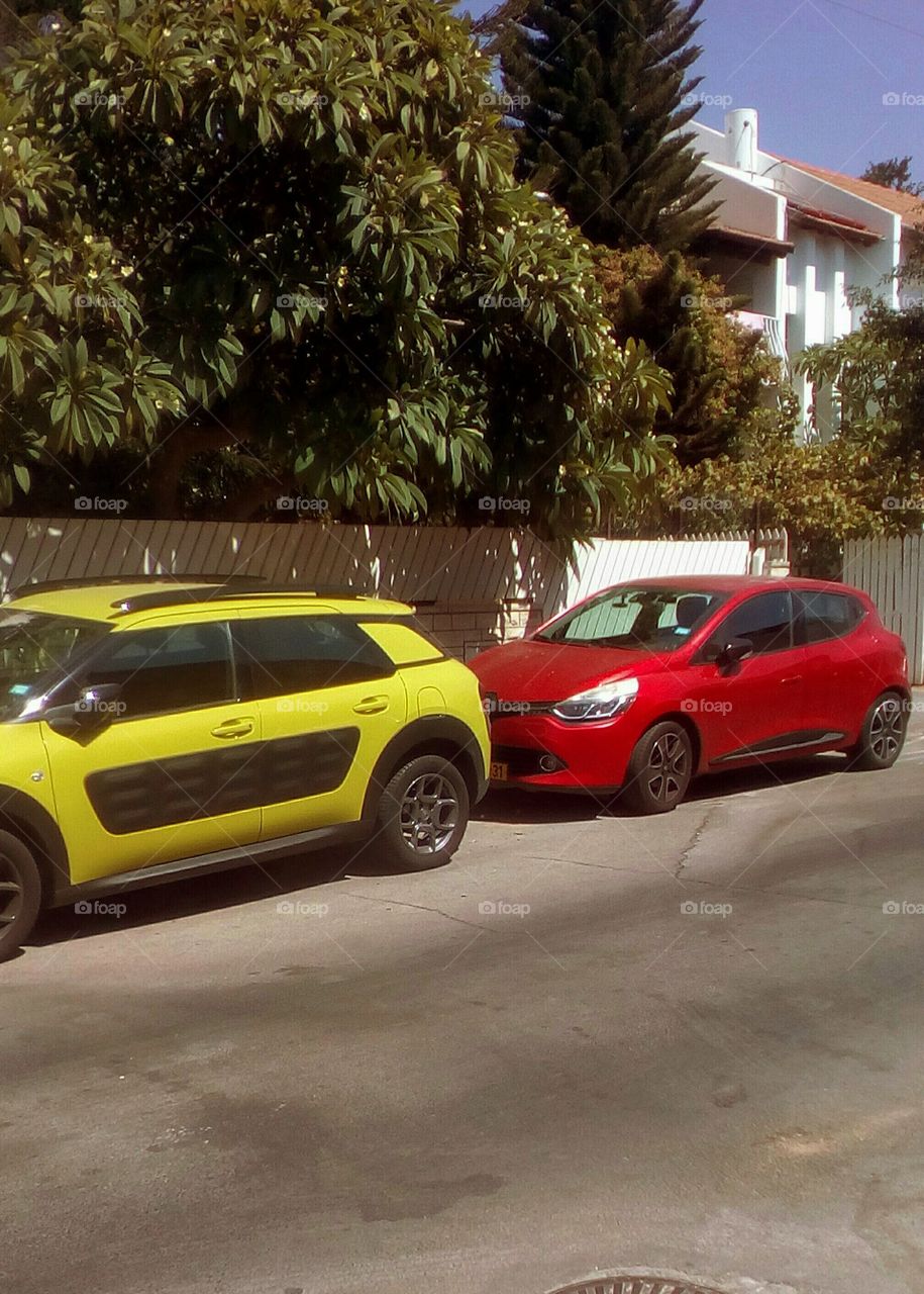 Two luxury car,red and yellow,parking
in street near residential rural house