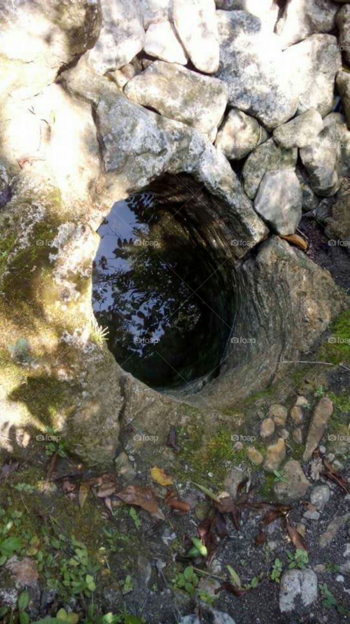 I found a well in the forest.