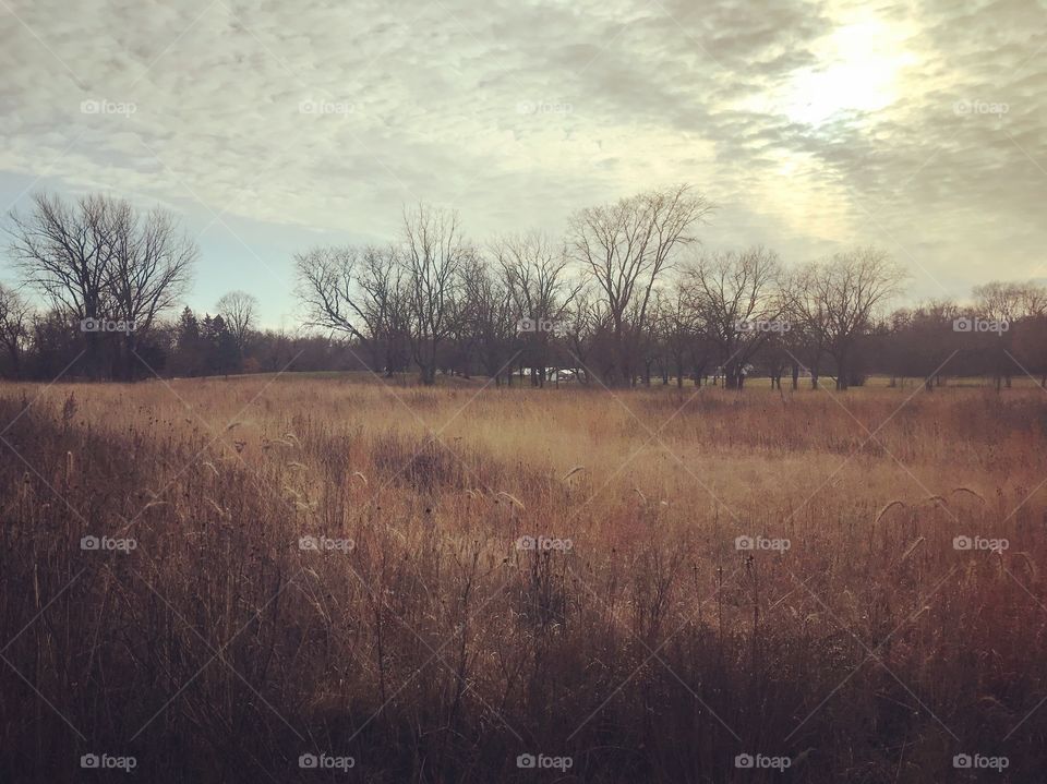 A field in a park in Geneva, Illinois.