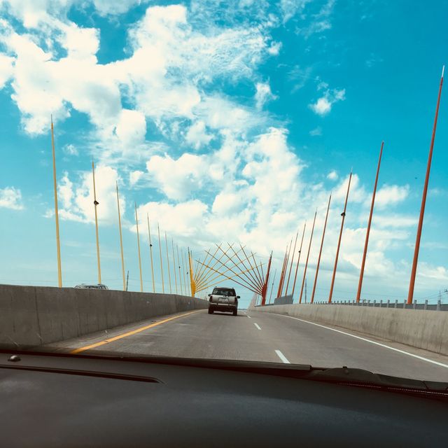 Beautiful day 